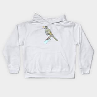 Noisy Miner Kids Hoodie